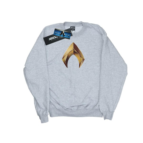 DC Comics Herr Aquaman Emblem Sweatshirt M Sports Grey Sports Grey M