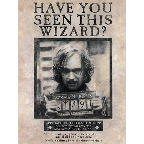 Harry Potter Efterlyst Affisch Sirius Black Canvas Tavla 80cm x 60cm Cream/Black 80cm x 60cm