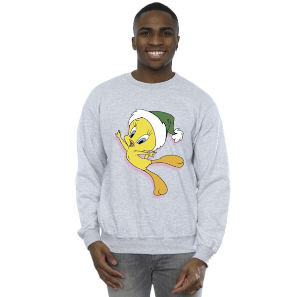 Looney Tunes Tweety Julmössa Sweatshirt M Sports Grey Sports Grey M