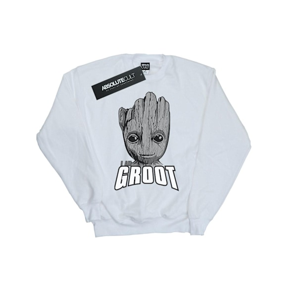 Marvel Girls Guardians Of The Galaxy Groot Face Sweatshirt 12-1 White 12-13 Years