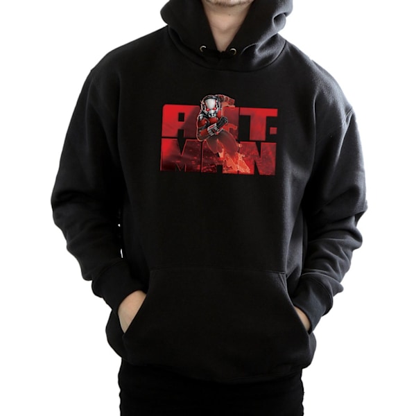 Marvel Herr Ant-Man Löparhoodie S Svart Black S