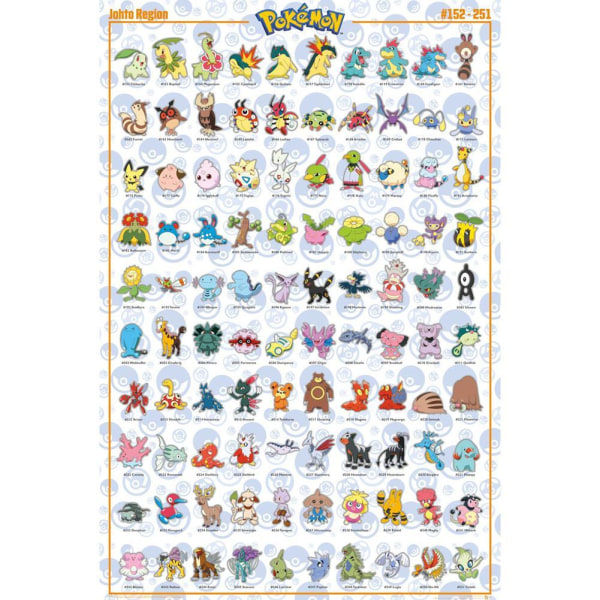 Pokemon Johto affisch One Size Flerfärgad Multicoloured One Size