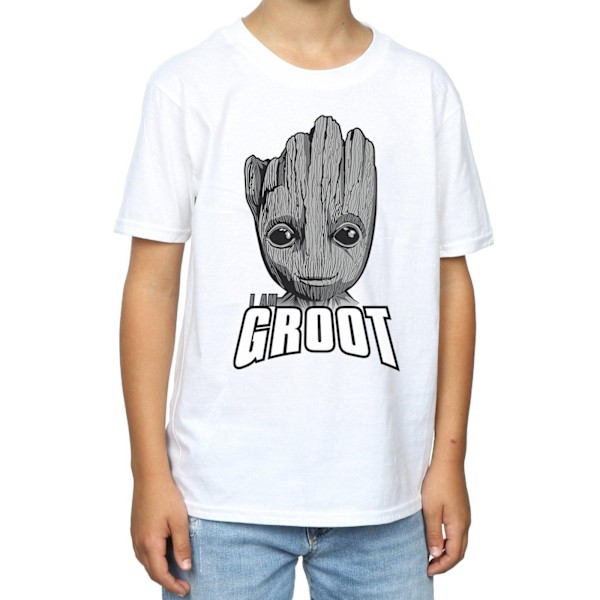 Marvel Boys Guardians Of The Galaxy Groot Face T-Shirt 9-11 År White 9-11 Years