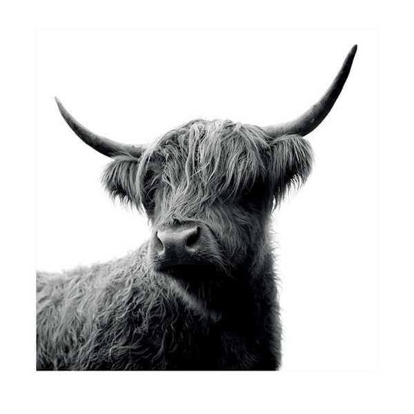 Ian Winstanley Fergus Print 40cm x 40cm Svart/Vit Black/White 40cm x 40cm