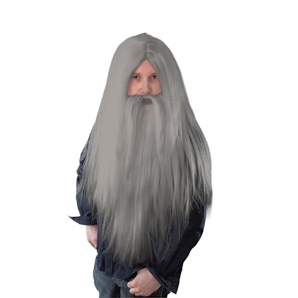 Bristol Novelty Herr Lång Trollkarl Peruk Och Skägg En Storlek Grå Grey One Size