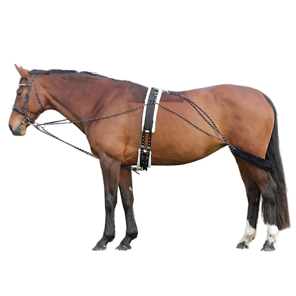 Hy Horse Lunging System One Size Marinblå/Grå Navy/Grey One Size
