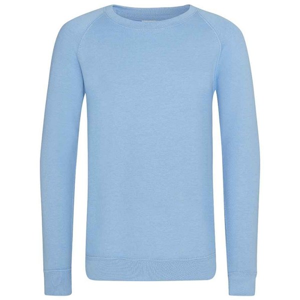 Awdis Barn/Barn Akademi Raglan Sweatshirt 11-12 År Sky Sky Blue 11-12 Years