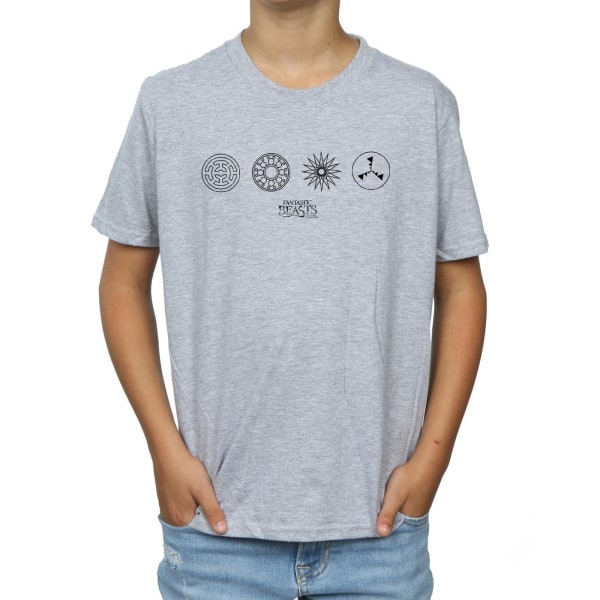 Fantastic Beasts Boys Circular Icons T-Shirt 12-13 Years Sports Sports Grey 12-13 Years