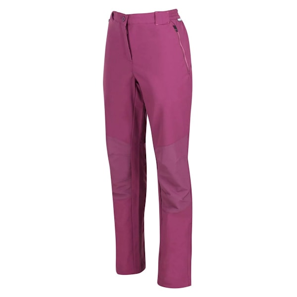 Regatta Womens/Ladies Questra IV Stretch Hiking Trousers 10 UK Amaranth Haze 10 UK