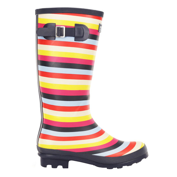 Regatta Womens/Ladies Ly Fairweather II Tall Durable Wellington Multicoloured Stripe 6 UK