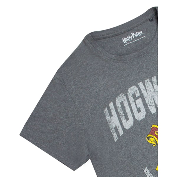 Harry Potter Hogwarts T-shirt för män, L, kolgrå Charcoal L