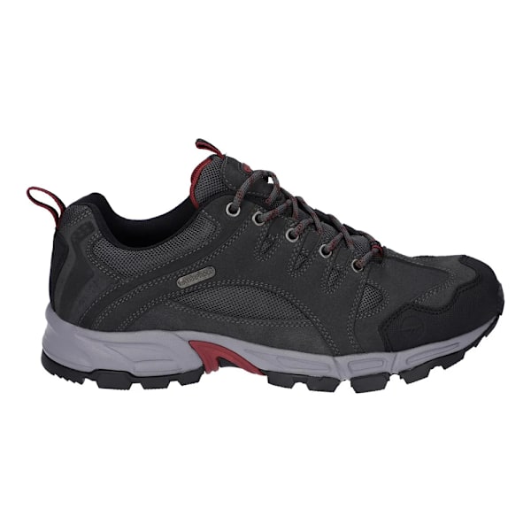 Hi-Tec Auckland Lite Suede Walking Shoes för män 9 UK Graphite Gre Graphite Grey/Dark Red 9 UK