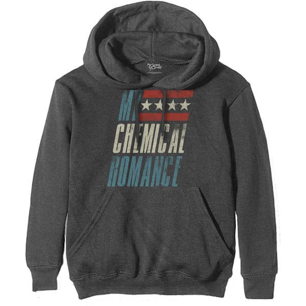 My Chemical Romance Unisex Adult Raceway Hoodie XS Charcoal Grå Charcoal Grey XS