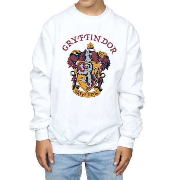 Harry Potter Pojkar Gryffindor Bomullströja 12-13 År Vit White 12-13 Years