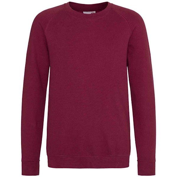 Awdis Barn/Barn Akademi Raglan Sweatshirt 13 År Bourgogne Burgundy 13 Years