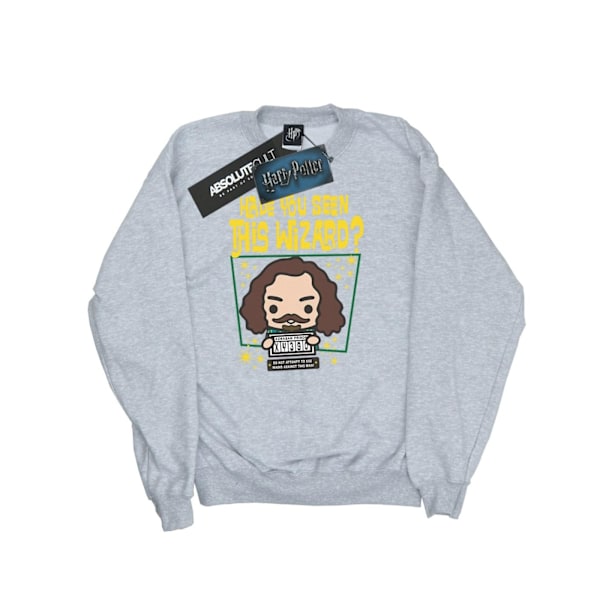 Harry Potter Boys Sirius Black Azkaban Junior Sweatshirt 7-8 år Sports Grey 7-8 Years