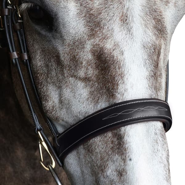 Whitaker Läder Platt Nosgrimma Ponny Svart Black Pony