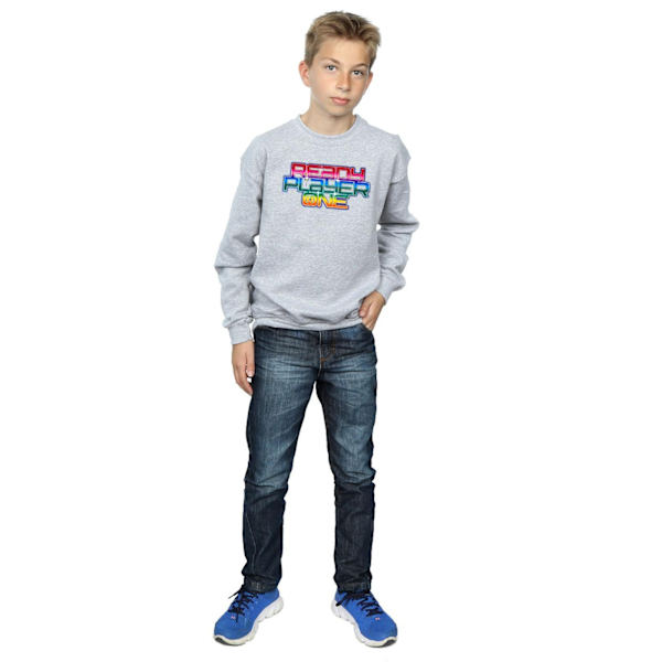 Ready Player One Boys Rainbow Logo Sweatshirt 9-11 år Sport Sports Grey 9-11 Years