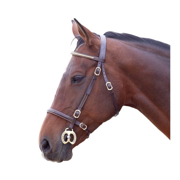 Blenheim Leather Clincher Horse Inhand Bridle Shetland Havana Havana Shetland