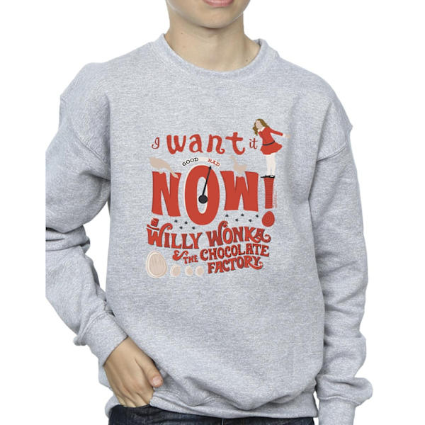 Willy Wonka Boys Verruca Salt I Want It Now Sweatshirt 12-13 år Sports Grey 12-13 Years
