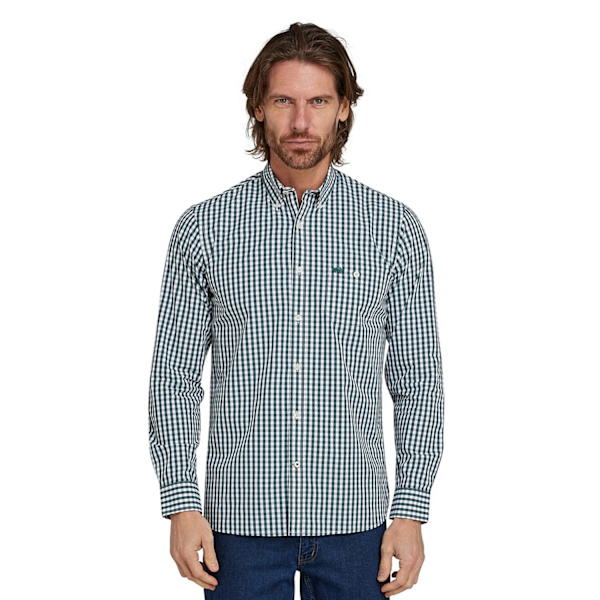 Raging Bull Herr Gingham Klassisk Långärmad Skjorta 6XL Skog Forest 6XL