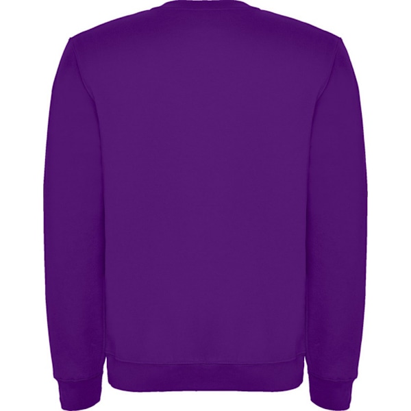 Roly Barn/Barn Clasica Crew Neck Sweatshirt 7-8 År Lila Purple 7-8 Years