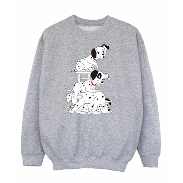 101 Dalmatiner Pojkar Stol Sweatshirt 5-6 År Sport Grå Sports Grey 5-6 Years