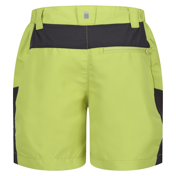 Regatta Sorcer Mountain III Shorts för barn/ungdomar 13 år Grön Green Algae/Seal Grey 13 Years