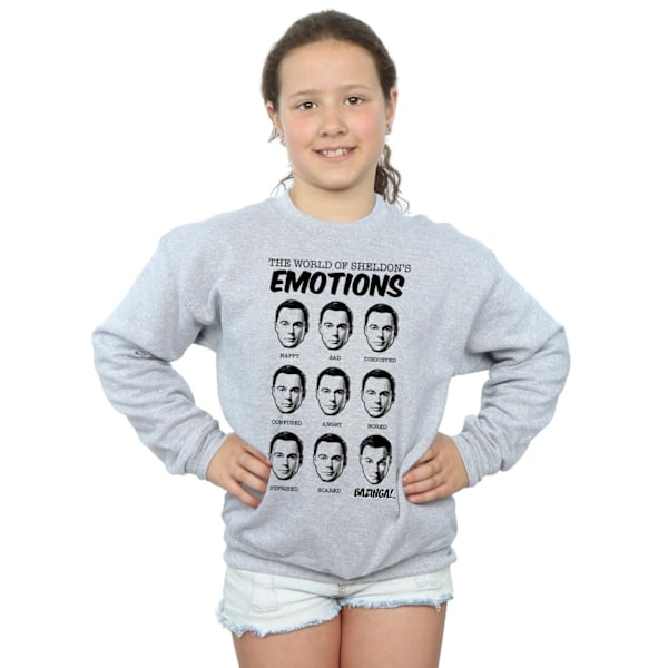 The Big Bang Theory Girls Sheldon Emotions Sweatshirt 12-13 År Sports Grey 12-13 Years