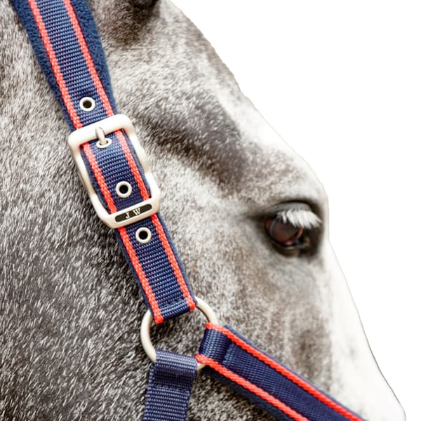 Whitaker Airflow Hästgrimma och Grimskaft Set Full Navy/Röd Navy/Red Full