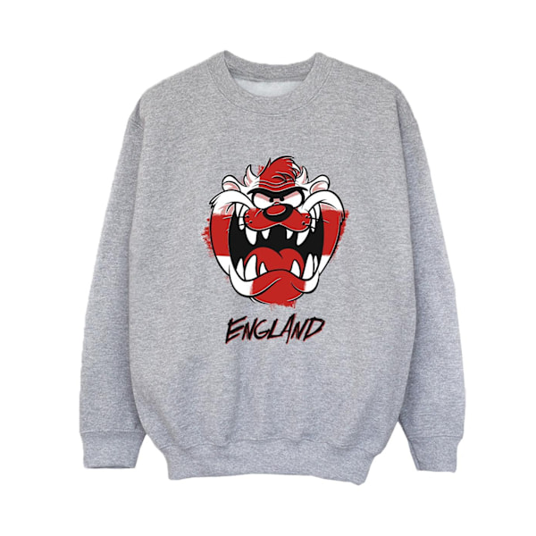 Looney Tunes Pojkar Taz England Ansikte Sweatshirt 12-13 År Sport Sports Grey 12-13 Years