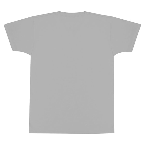 Scooby Doo Unisex Vuxen Hey Scooby T-Shirt M Grå Grey M