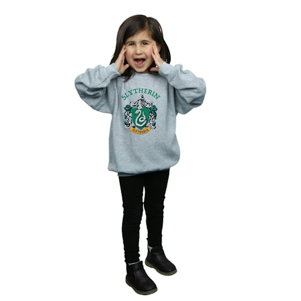 Harry Potter Tjejer Slytherin Crest Sweatshirt 12-13 År Sport Sports Grey 12-13 Years