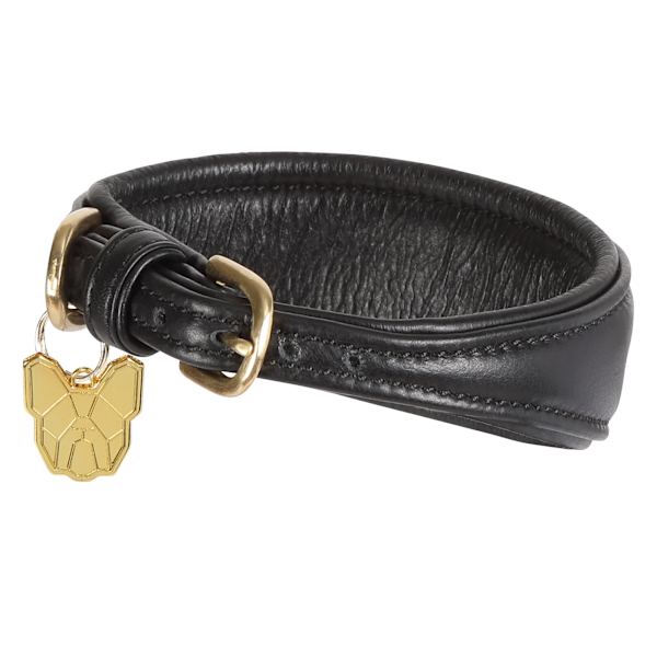 Digby & Fox Läder Vadderat Vinthund Hundhalsband XS - Halsomfång: Black XS - Neckline: 21cm-24cm
