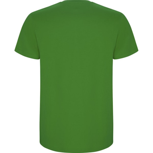 Roly Barn/Barn Stafford Kortärmad T-shirt 3-4 År Gräsgrön Grass Green 3-4 Years