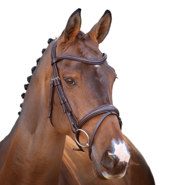 Velociti Lusso Raised Flash Leather Horse Flash Bridle Full Hav Havana Full