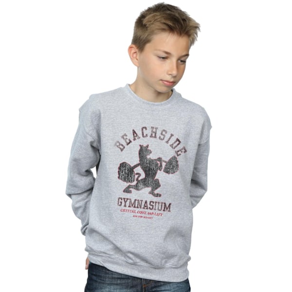 Scooby Doo Boys Beachside Gymnasium Sweatshirt 9-11 år Sport Sports Grey 9-11 Years