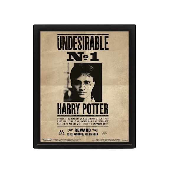 Harry Potter 3D inramad affisch 3,9 cm x 28,4 cm x 23,3 cm Svart/Beige Black/Beige 3.9cm x 28.4cm x 23.3cm