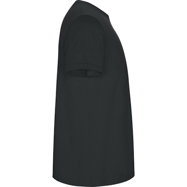 Roly Barn/Barn Stafford Kortärmad T-shirt 5-6 År Mörk Bly Dark Lead 5-6 Years
