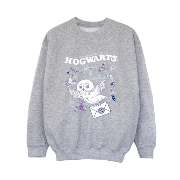Harry Potter Pojkar Uggla Brev Från Hogwarts Sweatshirt 3-4 År Sports Grey 3-4 Years