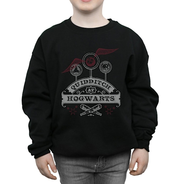 Harry Potter Quidditch på Hogwarts Sweatshirt för pojkar 9-11 år B Black 9-11 Years