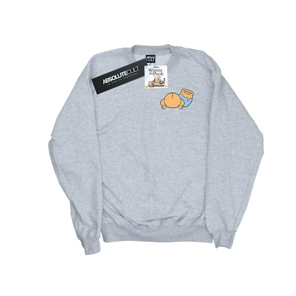 Disney Boys Winnie The Pooh Bakside Brösttryck Sweatshirt 9- Sports Grey 9-11 Years