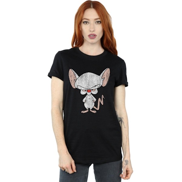 Animaniacs Dam/Damer The Brain Klassisk Pose Bomull Pojkvän Black XXL