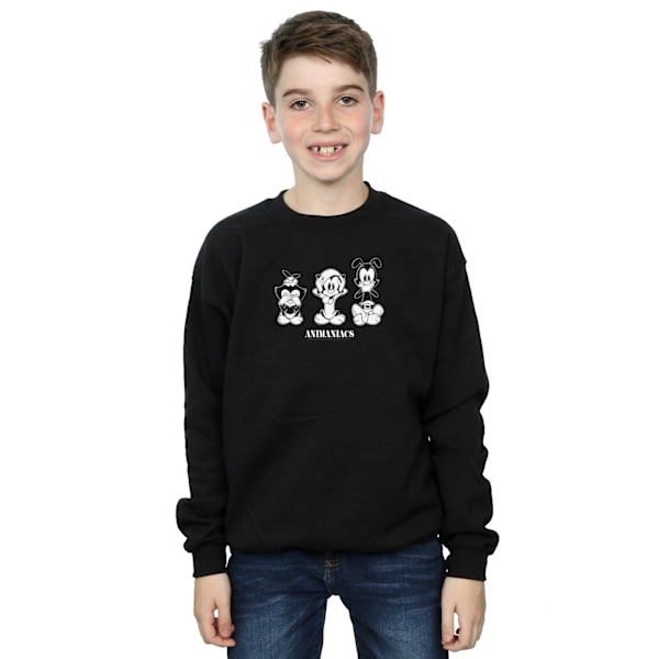 Animaniacs Boys Three Evils Sweatshirt 7-8 år Svart Black 7-8 Years