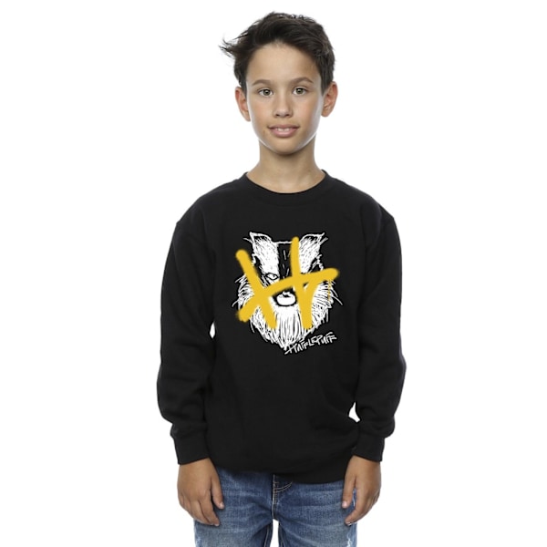 Harry Potter Boys Hufflepuff Pop Spray Sweatshirt 5-6 år Svart Black 5-6 Years