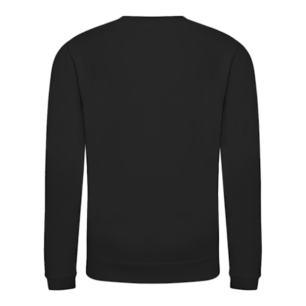 AWDis Just Hoods Barn/Barn Plain Crew Neck Sweatshirt 7-8 Deep Black 7-8 Years