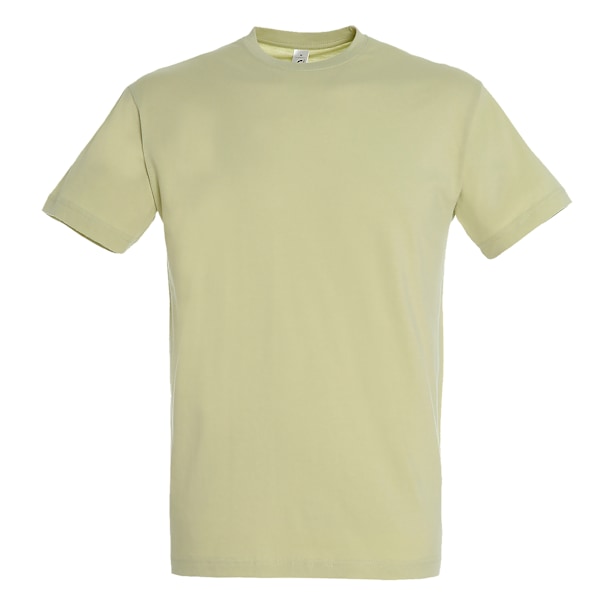 SOLS Regent Kortärmad T-shirt Herr XS Salviagrön Green Sage XS