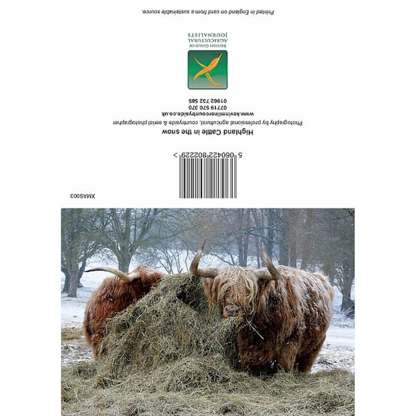 Kevin Milner Highland Cattle In The Snow Jul Kort En Storlek Multicoloured One Size
