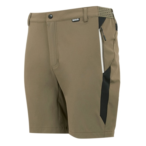 Regatta Herr Mountain II Shorts 34R Treetop/Svart Treetop/Black 34R