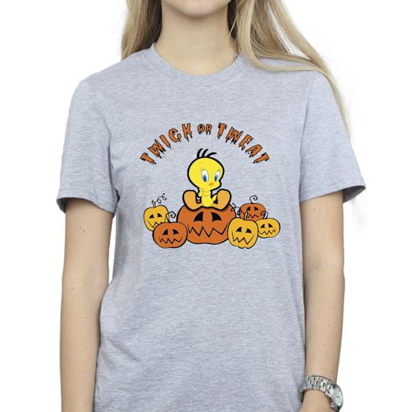 Looney Tunes Dam/Damer Twick Eller Tweat Bomull Pojkvän T-Sh Sports Grey M